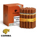 Charuto Cohiba Siglo VI Maricá RJ